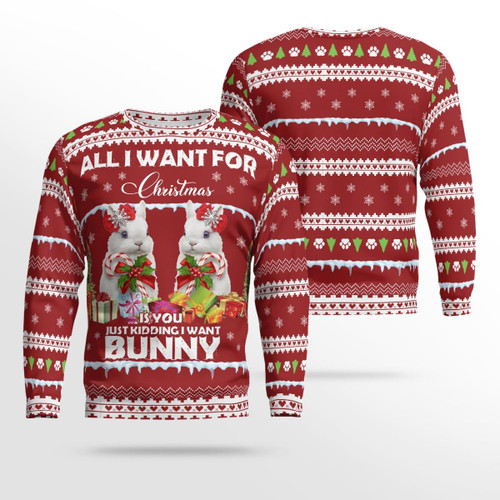 All I want for Christmas is bunny