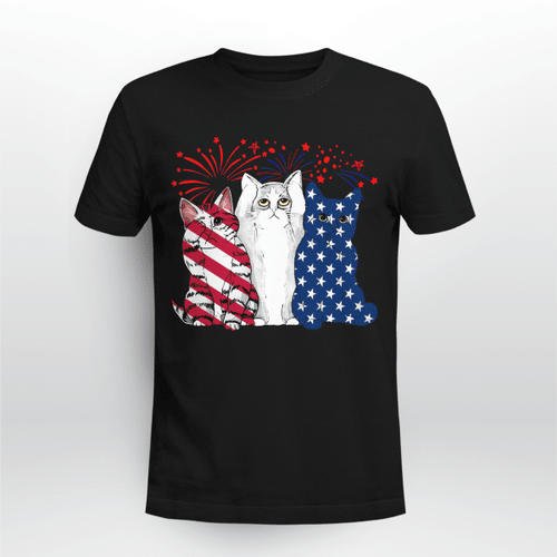 Cat - 3 Cats 4th July 2
