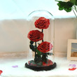 Eternal Rose in Glass Dome Luxury Flower 2023