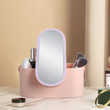 Travel Portable Makeup Organizer Box with LED Light Mirror -FAEVEZ™ Beauty & Health