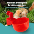 Automatic Chicken Water Dispenser - Home Devices