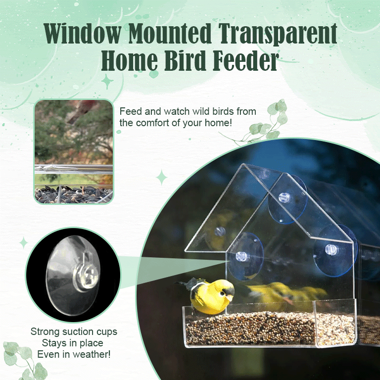Window Bird Feeder - Garden Tools