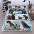 Newfoundland Dog Cl20110923Mdb Bedding Sets