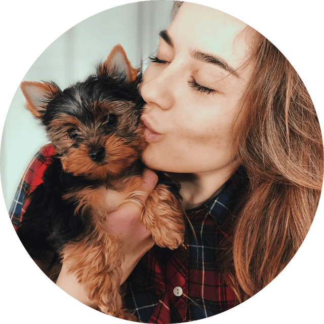 YORKSHIRE TERRIER LOVER COLLECTIONS