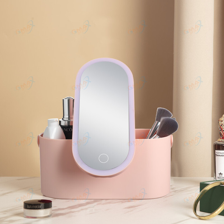 Travel Portable Makeup Organizer Box with LED Light Mirror