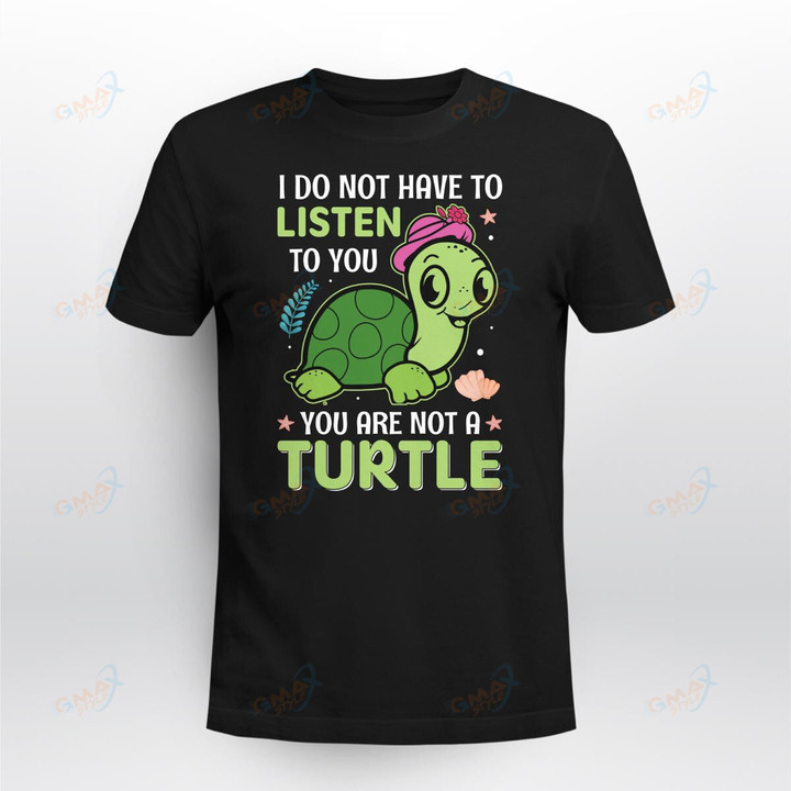 I do not have Turtle