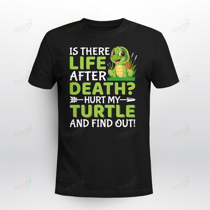 Is there life Turtle