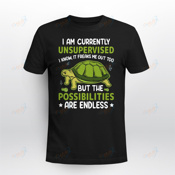 I am currently Turtle