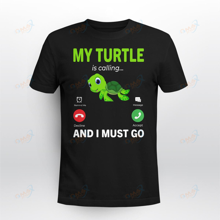 My Turtle