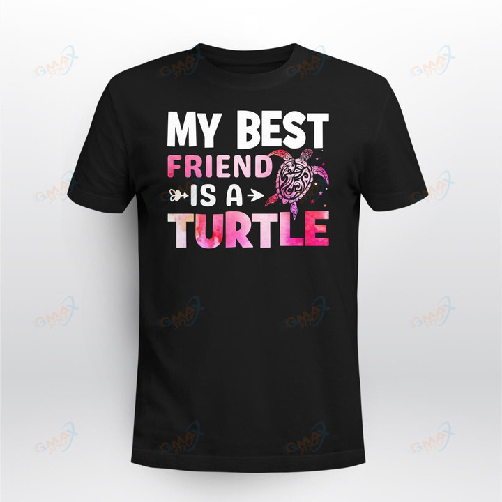 My best friend Turtle