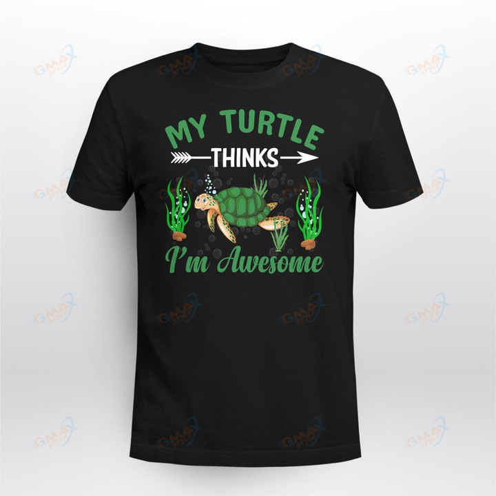 My Turtle thinks