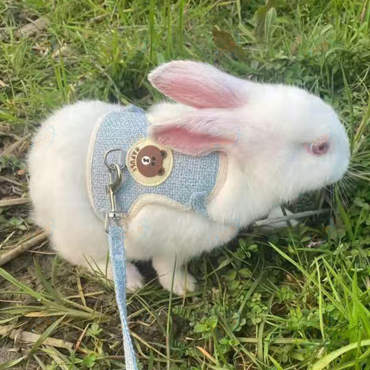 Cute Rabbit Harness and Leash Set Bunny Pet Accessories Vest Harnesses Rabbit Leashes for Outdoor Walking Pets Supplies