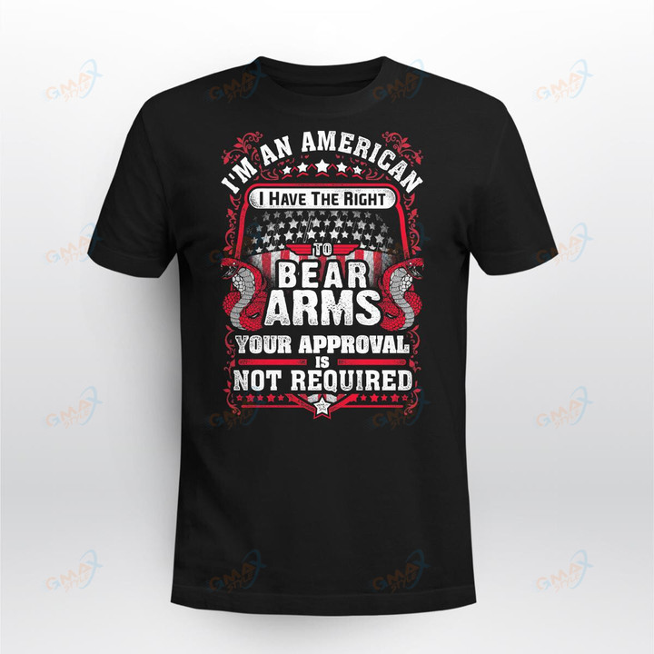 Gun Control Right To Bear Arms 4