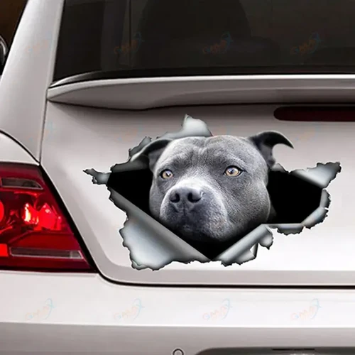 Pitbull Car Sticker