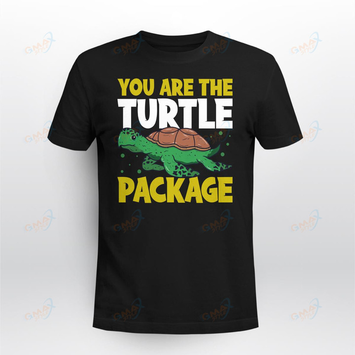 You are the Turtle