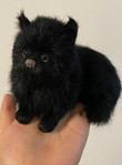 Plush animal plush cat black cat children’s toy