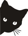 Car Black/White Cat Peeking Sticker