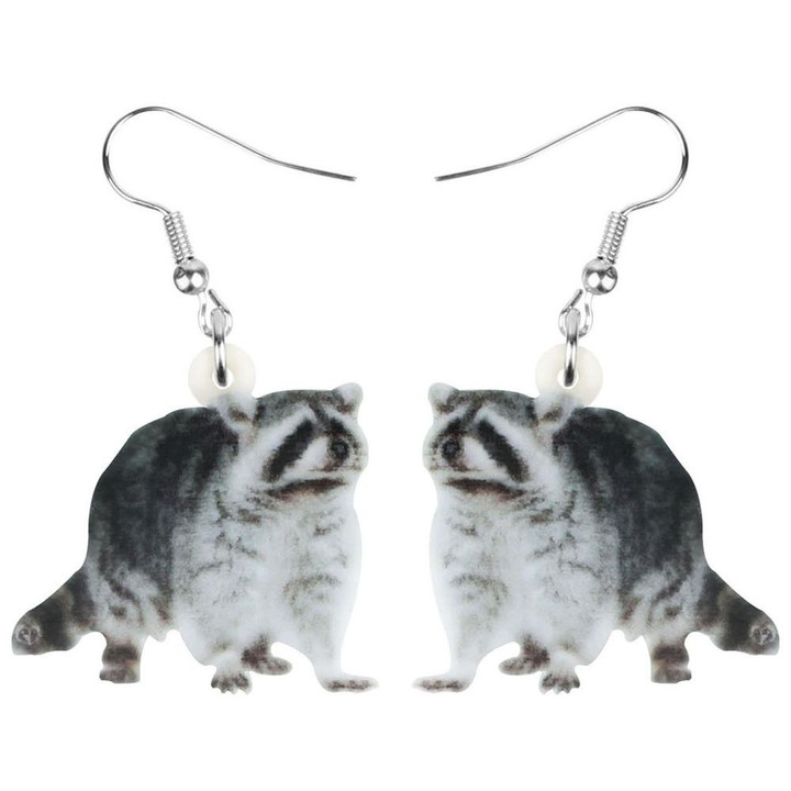 Cute Northern Raccoon Earrings
