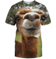 3D All Over Print Llama Face Funny Shirt - Amaze Style™