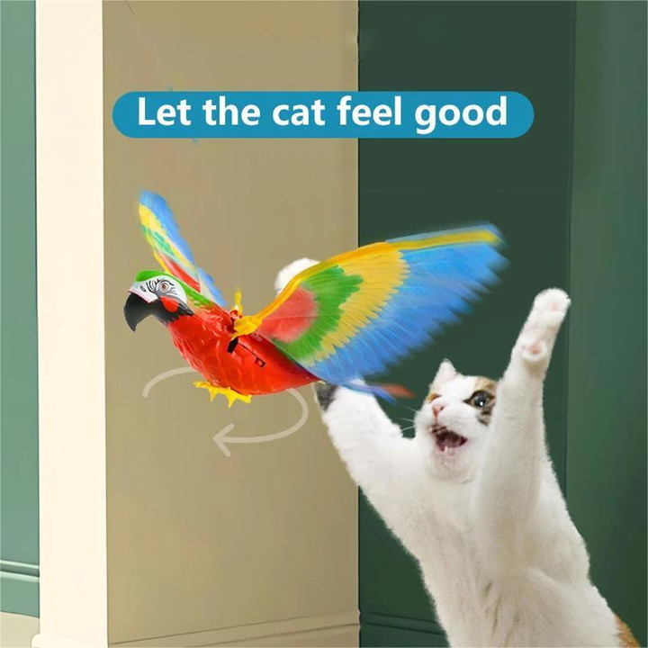 Cat's Papegaai - Houd je katten bezig & tevreden!