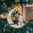Kitten And Moon Shaped Ornament 1054