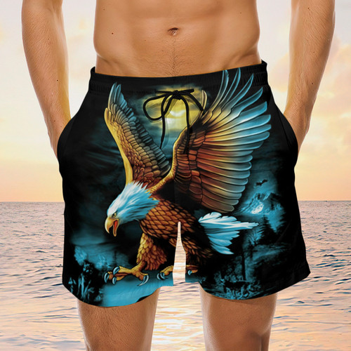 Eagle Painting Board Shorts, Gifts For Men And Women Swim Shorts