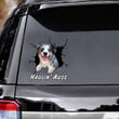 Haulin' Auss Australian Shepherd Crack Car Decals, Car Decoration, Dogs Decals Lover, Car Window Decals 12x12IN 2PCS