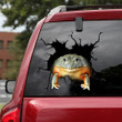African Bullfrog Frog Crack Decals For Cars Funny Quotes Vinyl Decals For Cars , Car Tyre Stickers 12x12IN 2PCS