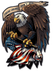 United States Bald Eagle with Flag Patriotic Art on metal sign vintage style garage art wall decor fly029