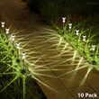 Solar Pathway Lights - Solar Outdoor Lights, LED Waterproof and Solar Powered - Enjoy 20% Discount!