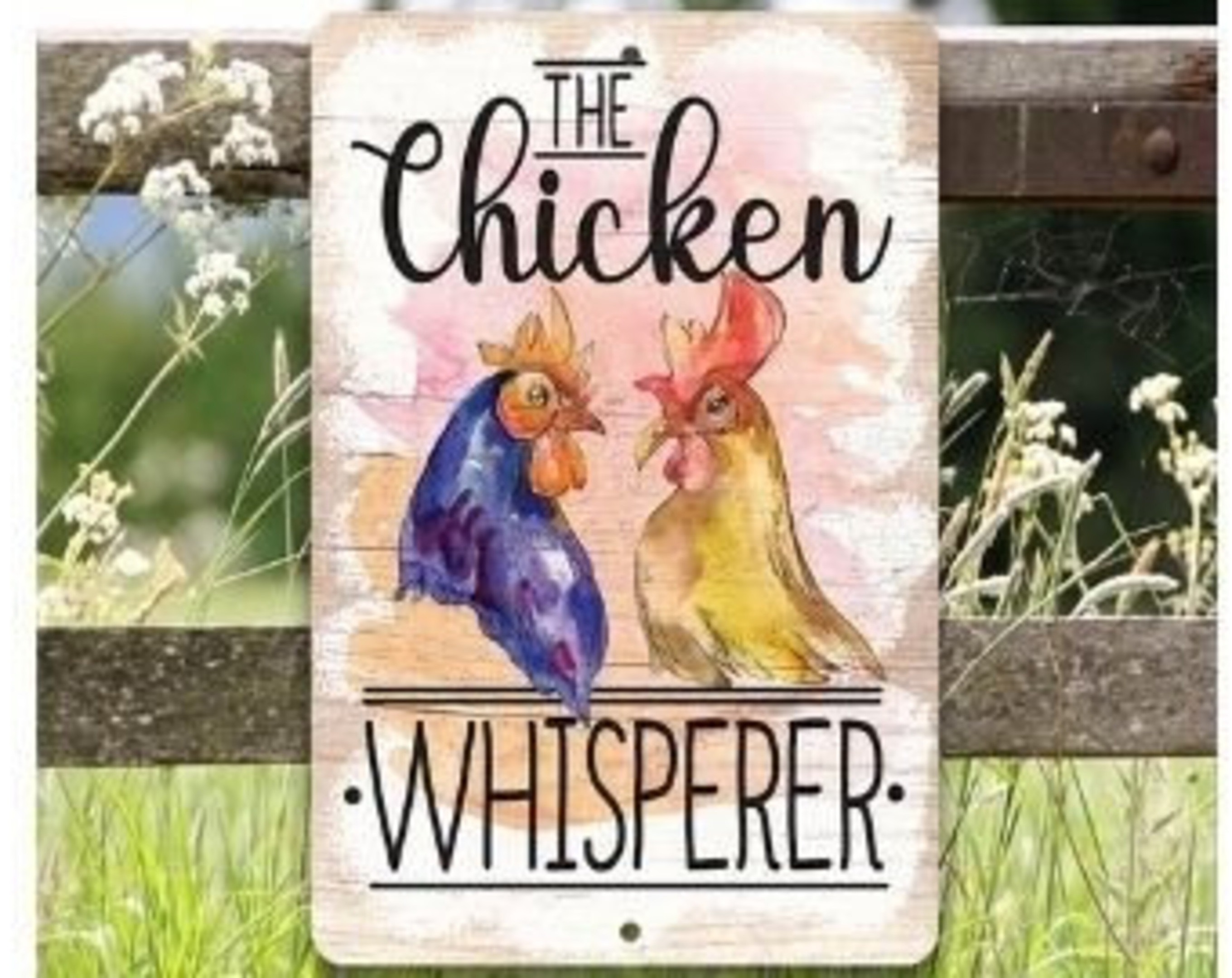 The Chicken Whisperer Aluminum Tin Awesome Metal Poster