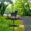 Dog Weathervane Retro Metal Wind Vane Black Spray Paint Wind Direction Indicator For Outdoor Garden