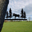Moose Hunting Metal Tree Stake, Lodge Decor Laser Cut Metal Signs 12x12IN