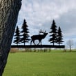 Elk Metal Tree Stake, Mountain Steel Art, Gift For Him Laser Cut Metal Signs 12x12IN