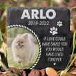 You Would Have Lived Forever, Pet Memorial Stone for Home or Garden, Custom Pet's Photo Stone for Loss of Dog, Cat