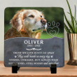 Still Loved Still Missed And Very Dear, Customized Pet's Photo Memorial Stone, Memorial Gift for Loss of Dog Cat