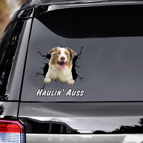Haulin' Auss Australian Shepherd Car Sticker, Hight  Decals Car, Gift For Car, Dogs Decals Lover, Funny Car Stickers