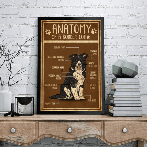 Border Collie s painting prints anatomy of a Border Collie dogs lover HA0508 LAD Poster Canvas Art, Toptrendygear Framed Matte Canvas Prints