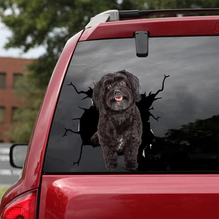 Havanese Crack Decals For Cars Funny Birthday Memes Window Decals Gifts For Boss, Instagram Sticker For Car 12x12IN 2PCS