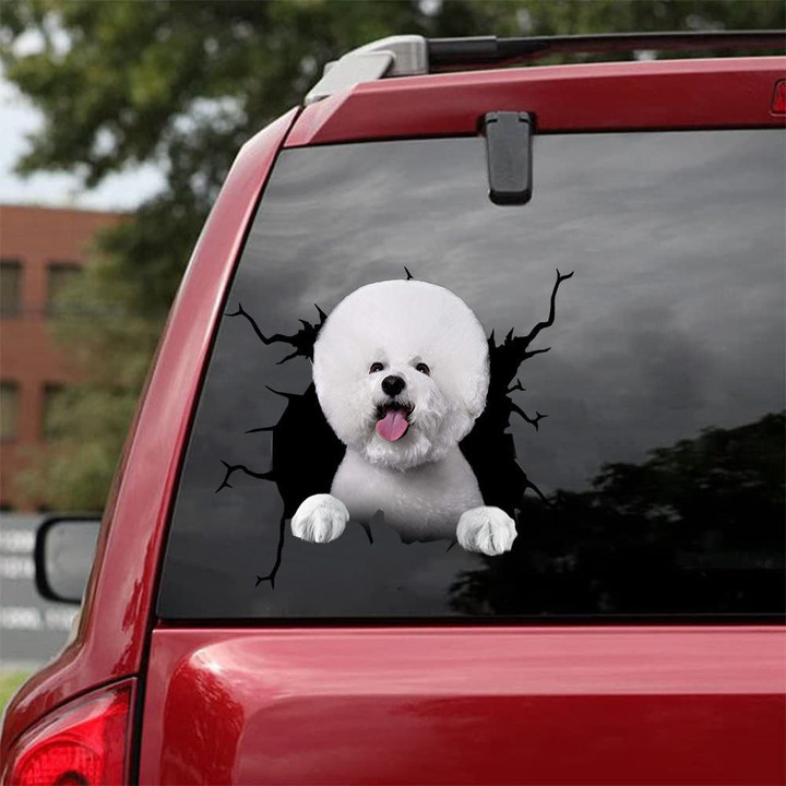 Bichon Crack Sticker Ideas You Cute Vehicle Decals Craft Kits For Adults, Outdoor Vinyl For Car Decals 12x12IN 2PCS