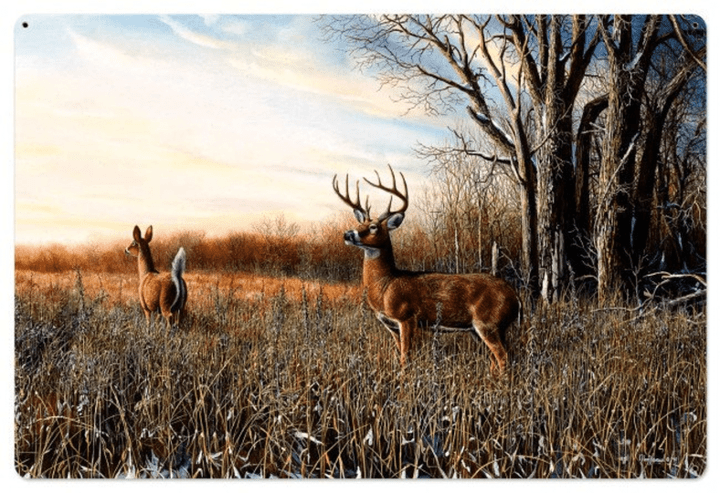 Deer Breaking Cover by Jim Hansel Satin Finish Art on Metal Cabin Lodge Country home decor wall art