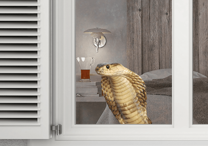 Window Decal Cobra (Wilbur) Realistic Double Sided Window Cling
