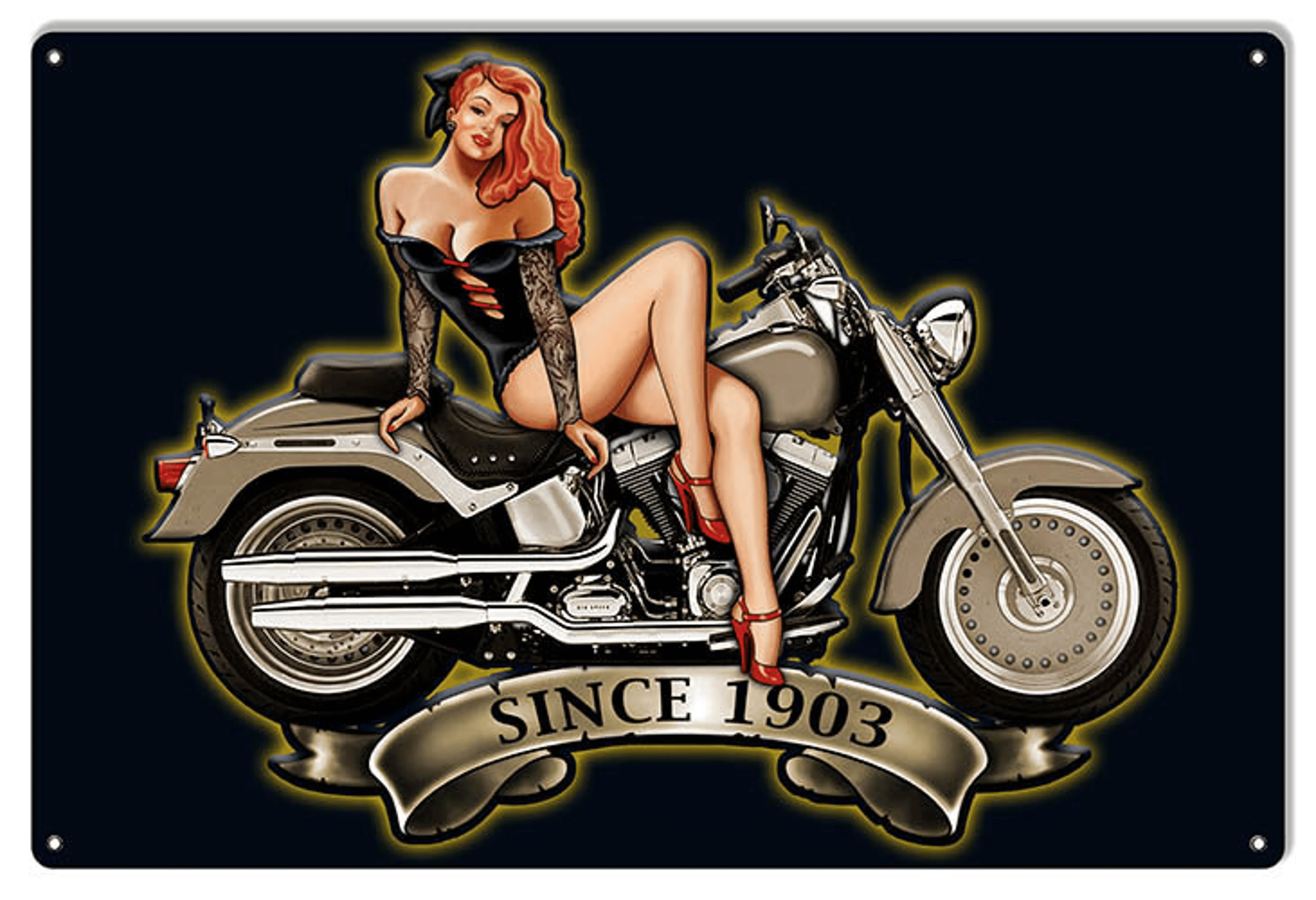Pin Up Girl Motorcycle 1903 Series  Metal sign OR 16 x 12 Canvas Art home decor wall art sm