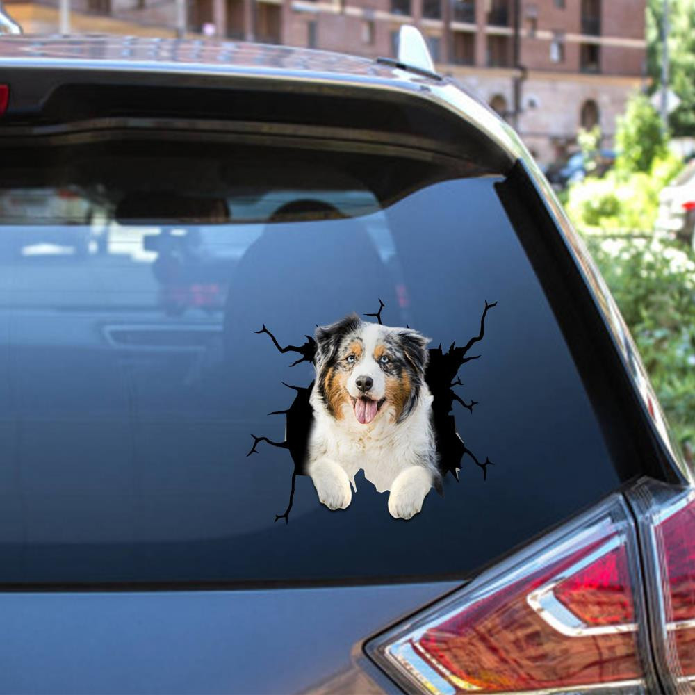 Australian Shepherds Crack Window Decal Custom 3d Car Decal Vinyl ...