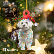 Ornament-Maltese Reindeer