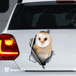 Sticker-Owl Torn Out