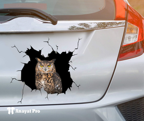 Sticker-Owl Crack