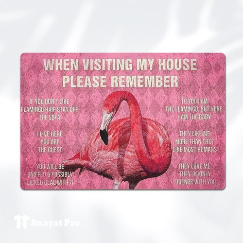 Doormat-Flamingo Visiting