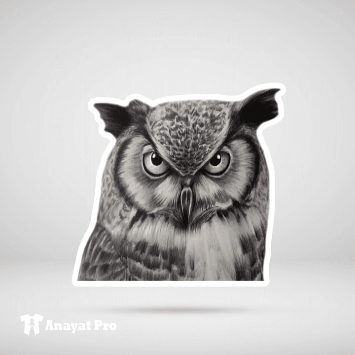 Sticker-Owl Face