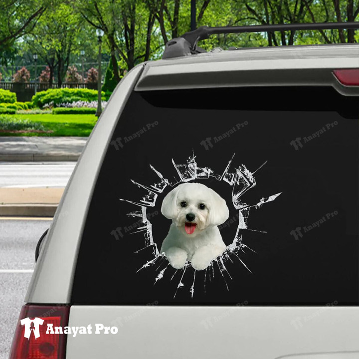 Sticker-Maltese Torn Out